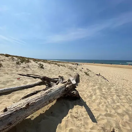 Sur La Dune Moliets, 12 People, Beach, Golf *