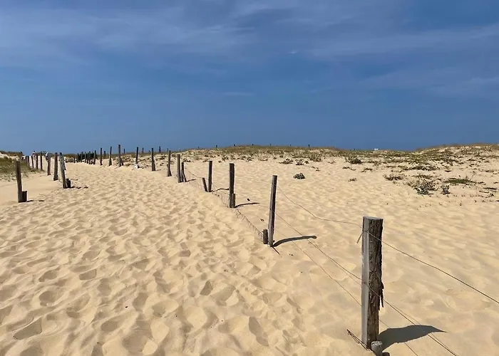 Sur La Dune Moliets, 12 People, Beach, Golf Villa *